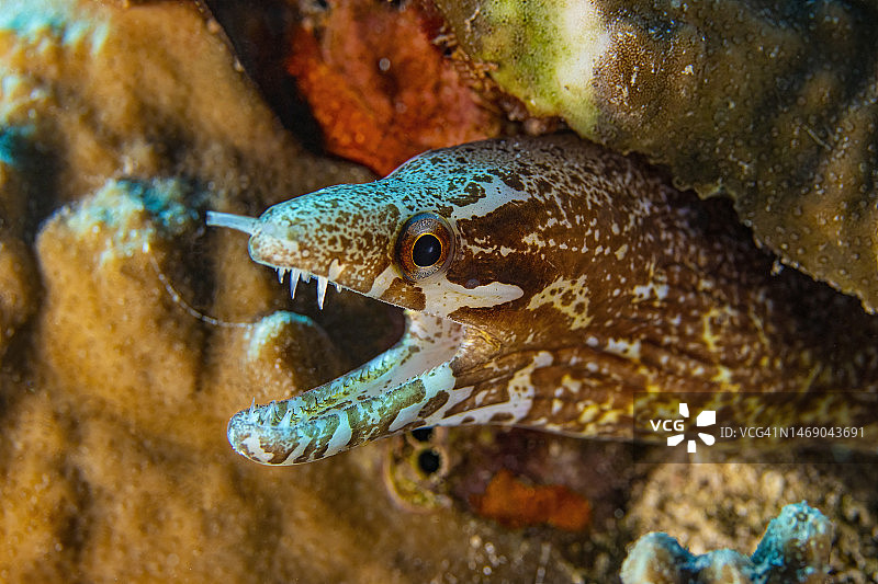 2022年10月5日图片素材