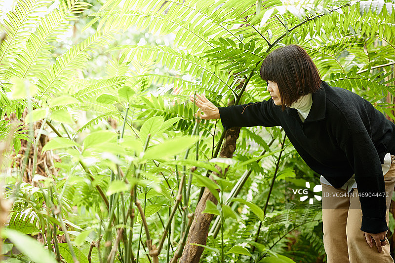 年长的女人在绿树中耙地图片素材