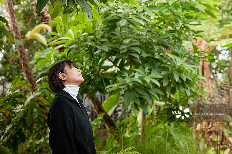 年长的女人被绿色植物环绕，仰望大自然图片素材