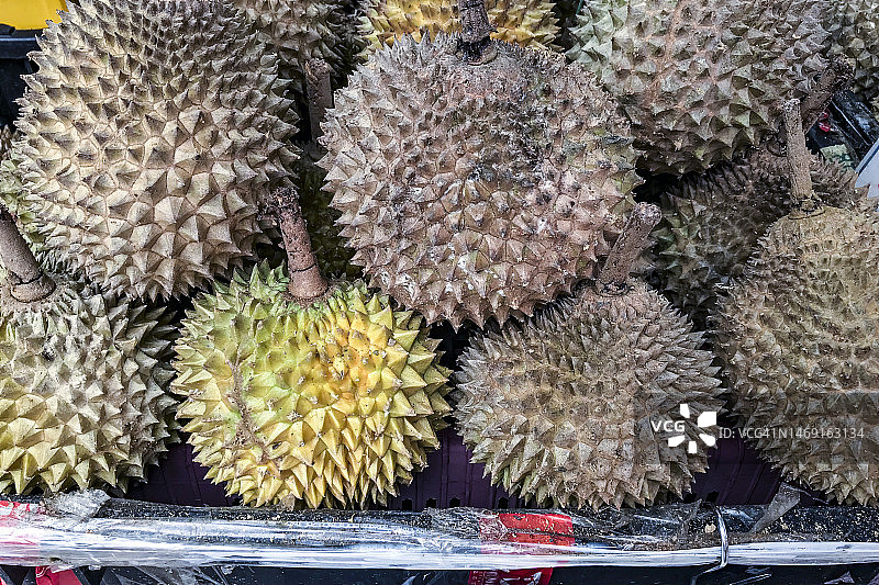 新加坡榴莲图片素材