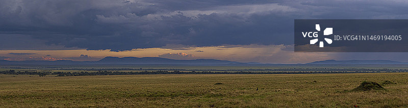 马赛马拉国家保护区大草原的日落图片素材