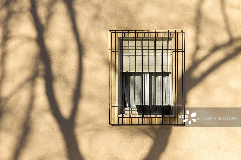 有窗户的墙上的树影图片素材