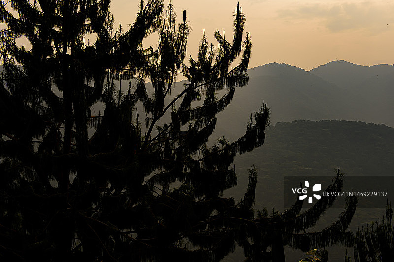 布温迪难以穿越国家公园日出图片素材