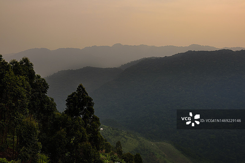 布温迪难以穿越国家公园日出图片素材