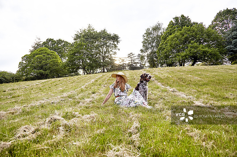 夏日伙伴图片素材