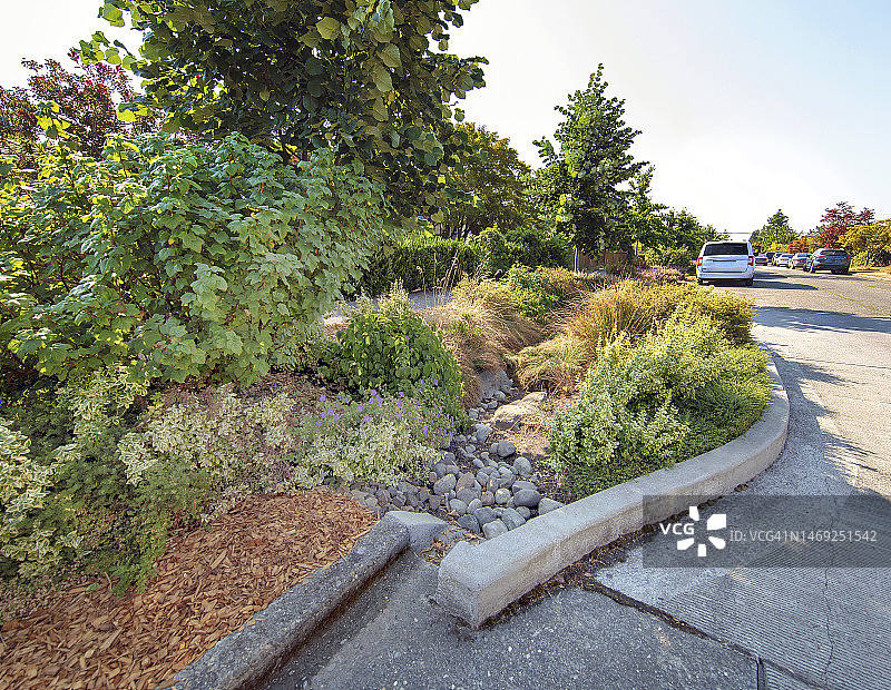 由耐旱植物、草、岩石和覆盖物制成的公共生物洼地图片素材