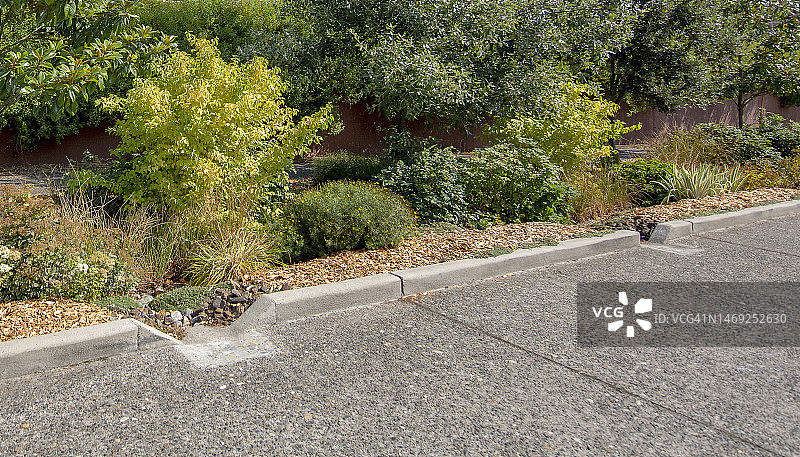 由耐旱植物、草、岩石和覆盖物制成的公共生物洼地图片素材