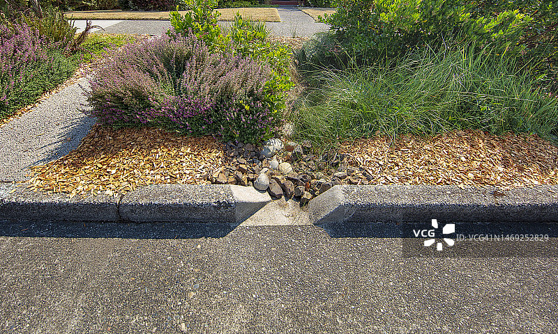 由耐旱植物、草、岩石和覆盖物制成的公共生物洼地图片素材