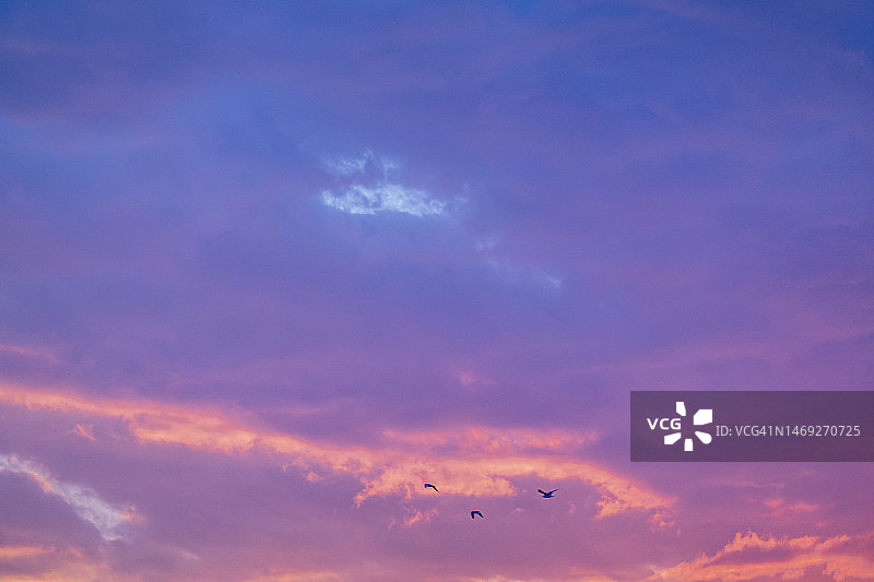 屋顶上的日落图片素材