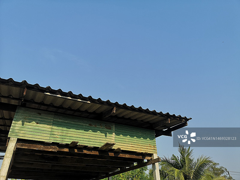 在模糊的自然背景下，桑果在花园里的树上开花图片素材