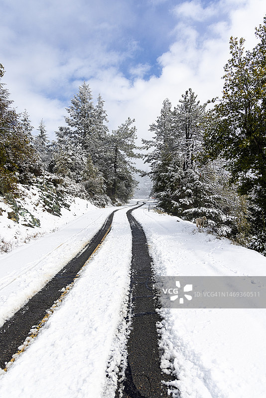塔玛佩莱斯山脊冠大道雪景图片素材