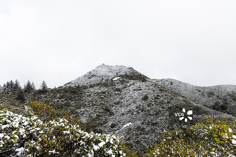 被白雪覆盖的塔玛佩斯山图片素材