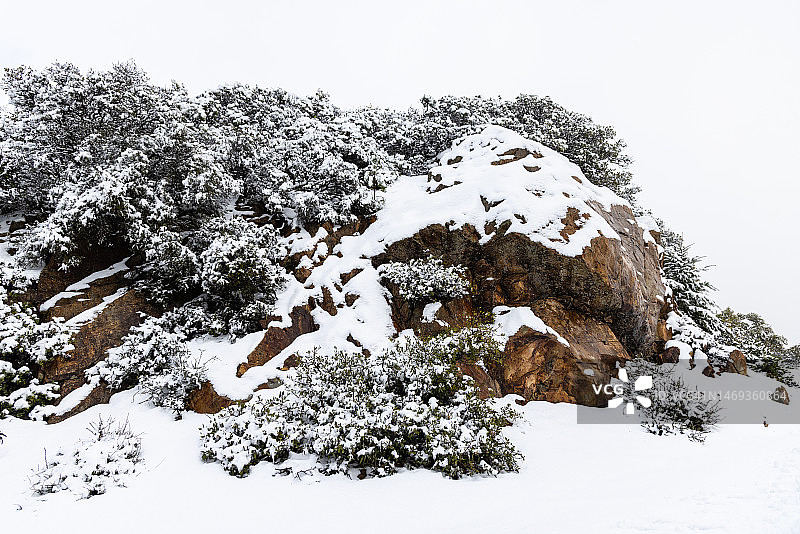 塔玛佩利斯山上的雪景图片素材