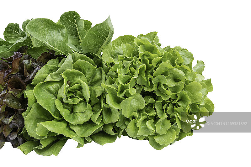 白色背景下的独立生菜，有机纯素食品概念图片素材