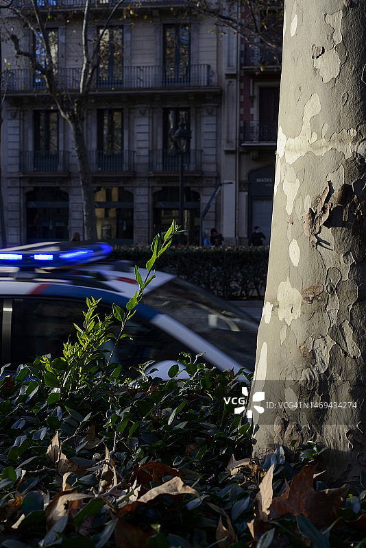 虚焦的警车图片素材