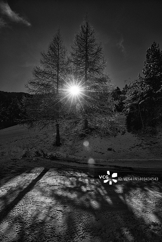 冬天来了图片素材