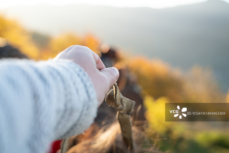 手握缰绳图片素材