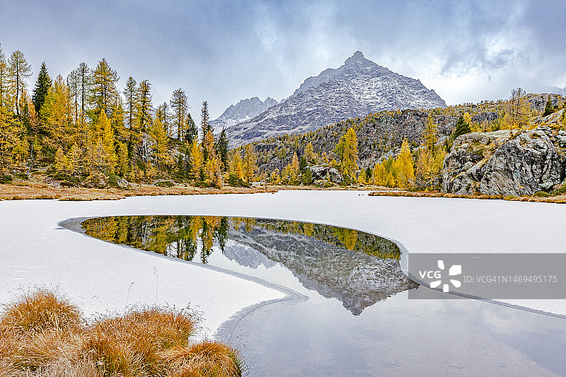 秋季冻结的高山湖泊中倒映的落叶松图片素材