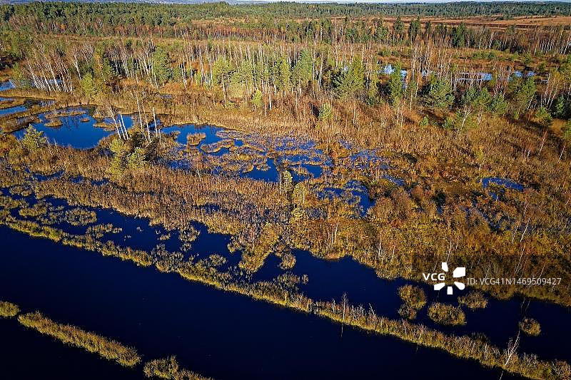 德国巴伐利亚州尼克尔海默沼泽秋季航拍，生态恢复项目图片素材
