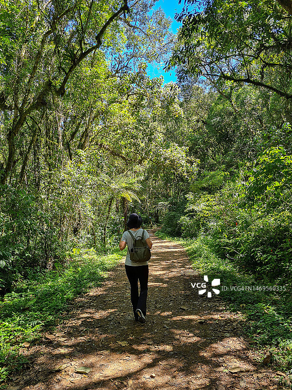 在自然风光中的游客图片素材