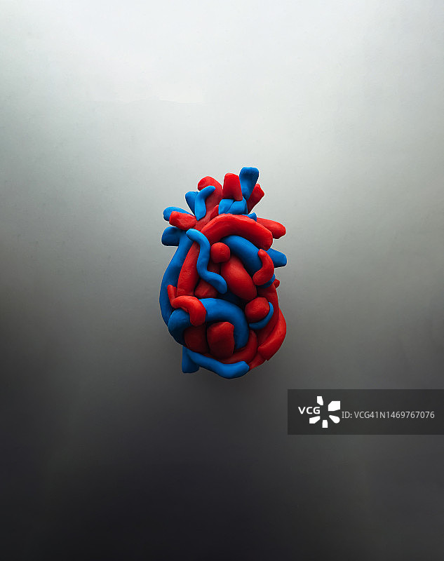 心脏和冠状动脉泥塑作品图片素材