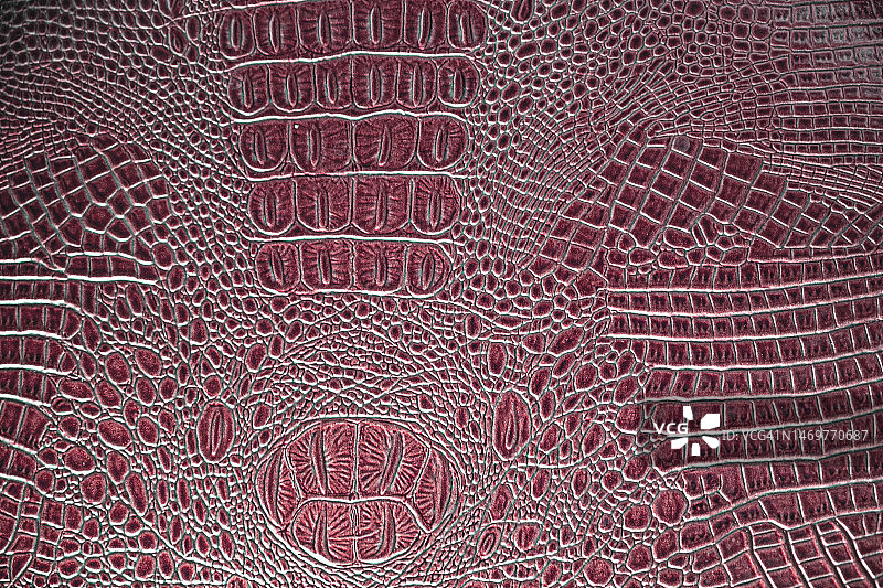 鳄鱼皮图案真皮纹理背景图片素材