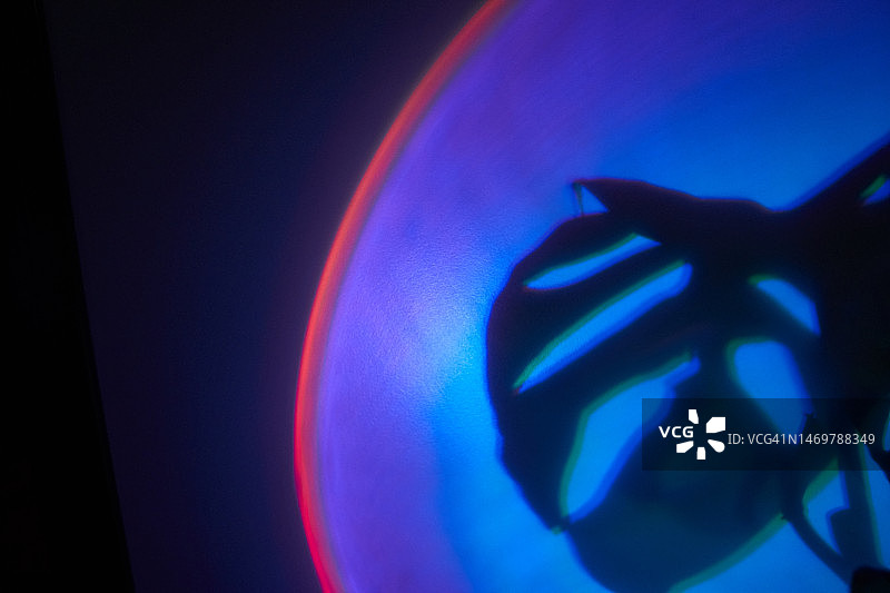 热带植物叶子，彩色光下的姬 Monstera 猴面叶阴影图片素材