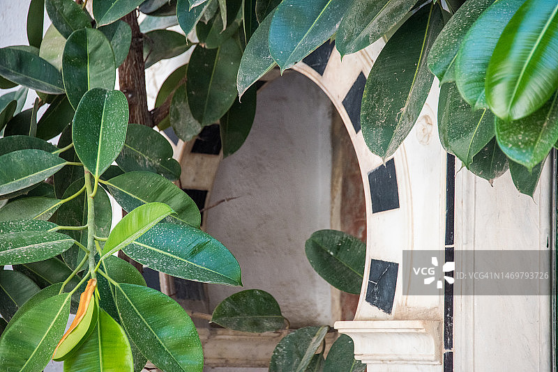 突尼斯的倭马亚风格拱形柱廊图片素材