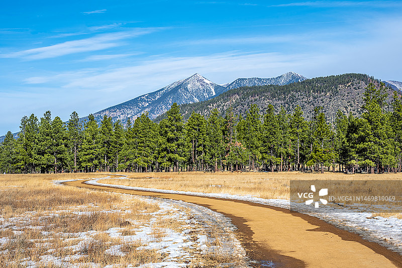 水牛公园和旧金山雪峰图片素材