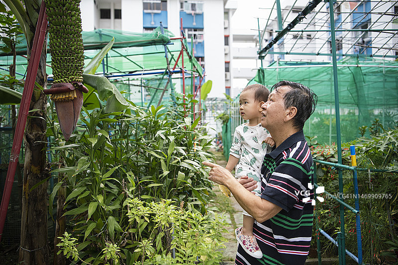 祖孙俩在社区花园里图片素材