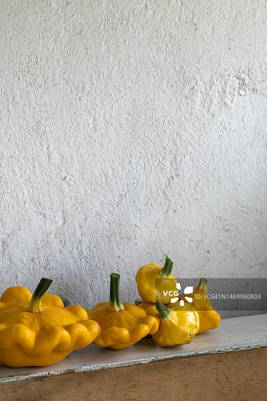 小南瓜静物图片素材