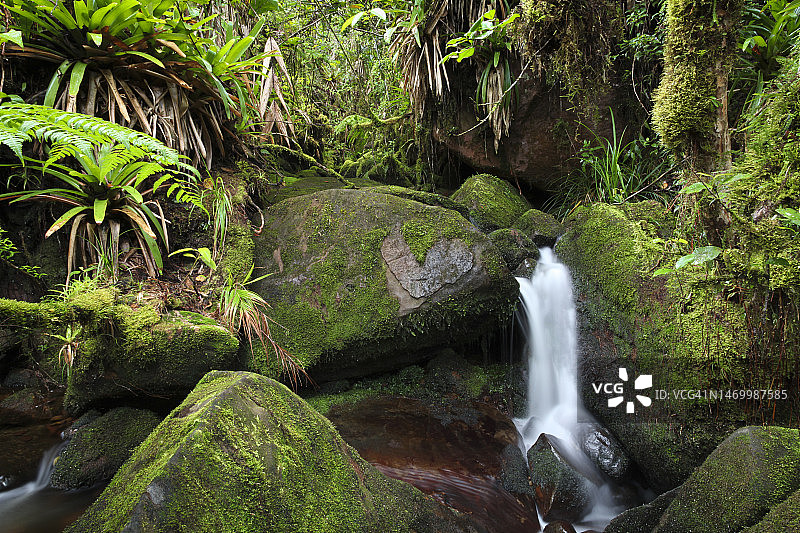 森林中的瀑布图片素材