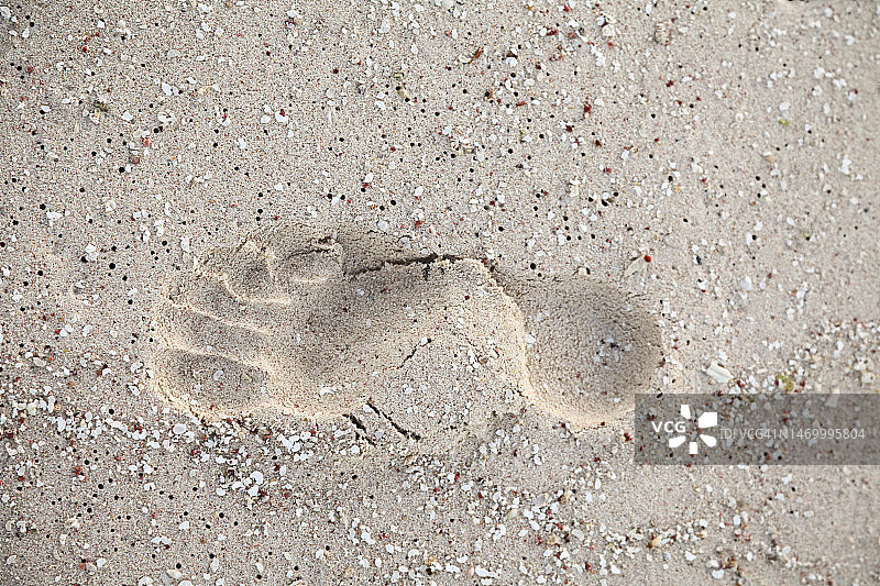 沙滩上的脚印图片素材