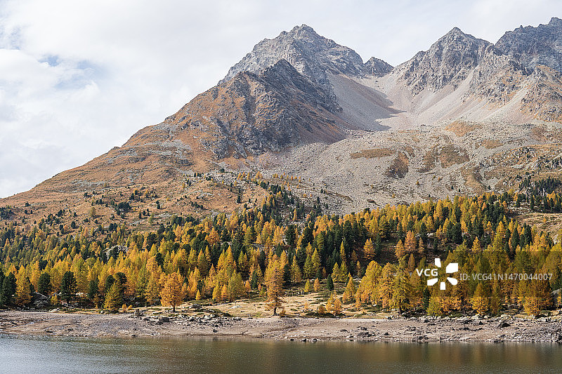 维奥拉湖图片素材