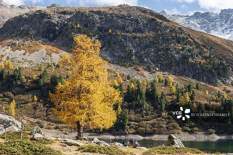 维奥拉湖图片素材