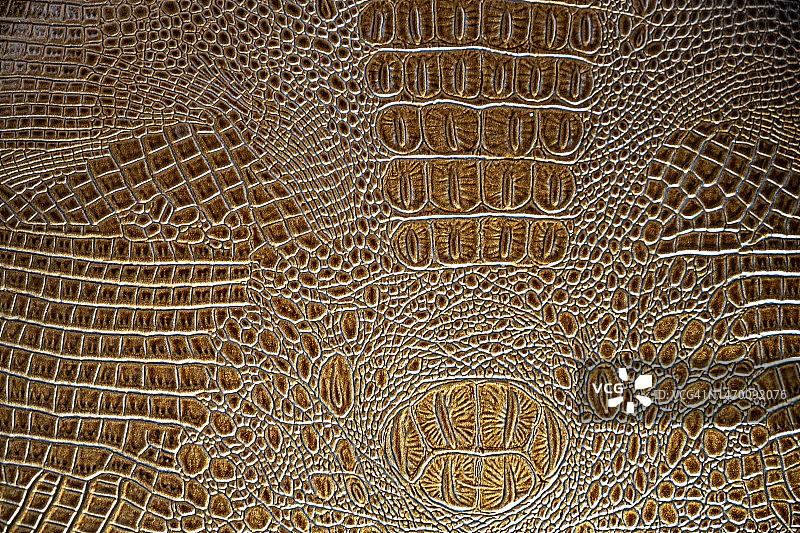鳄鱼皮图案真皮纹理背景图片素材