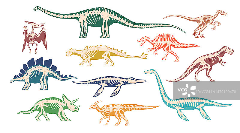 恐龙化石、古代遗迹、史前生物骨骼完整骨架图片素材