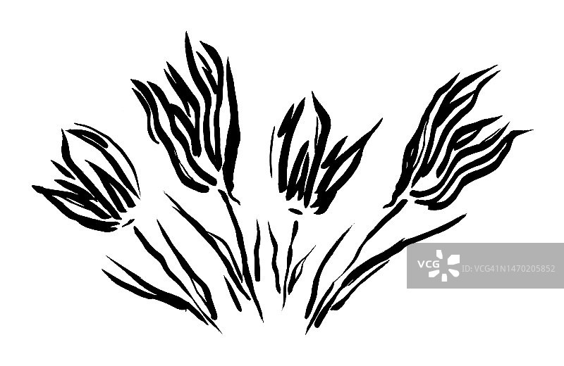 钢笔马克笔绘制的程式化花朵素描图片素材