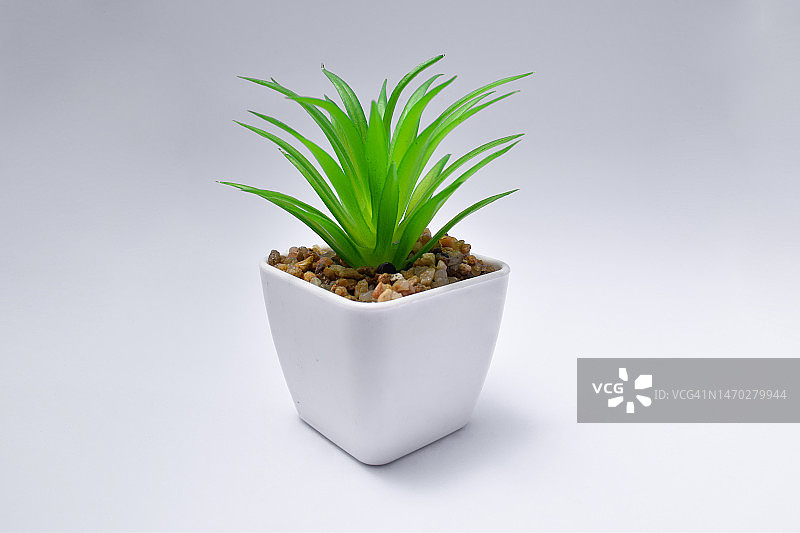 用于家居装饰的盆栽塑料绿植（印度尼西亚）图片素材