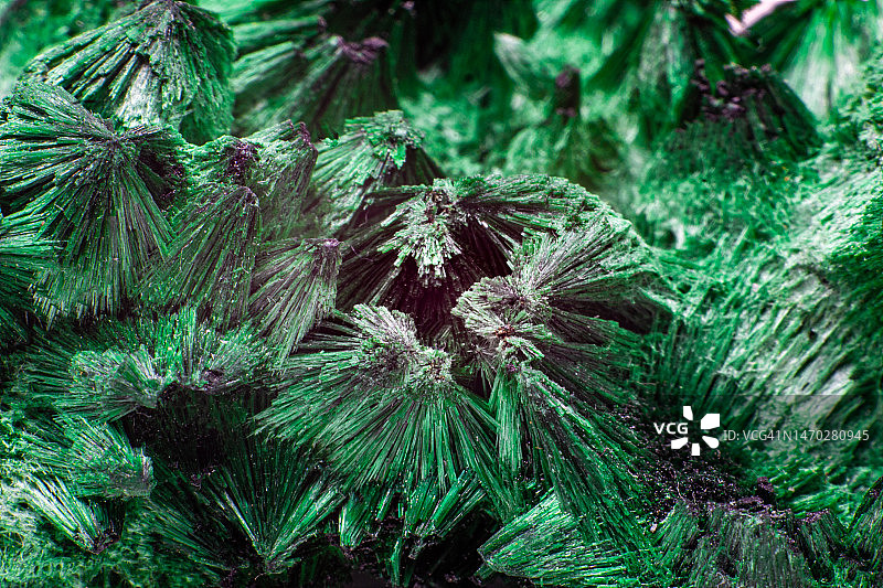 俄罗斯孔雀石：鲜艳的绿色铜矿晶体图片素材