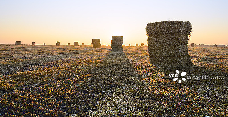 俄罗斯图拉地区的日落田野风光图片素材