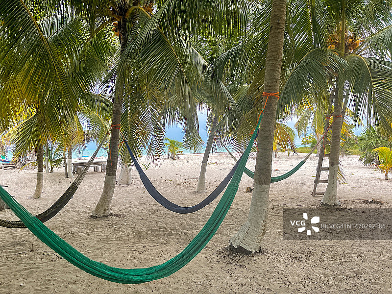 墨西哥霍尔博克斯岛海滩上的吊床图片素材