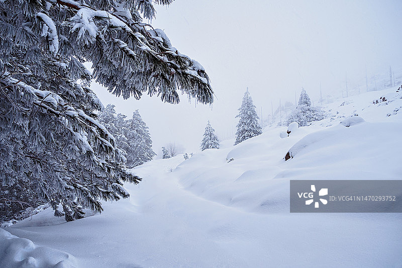 意大利林巴拉山雪景图片素材