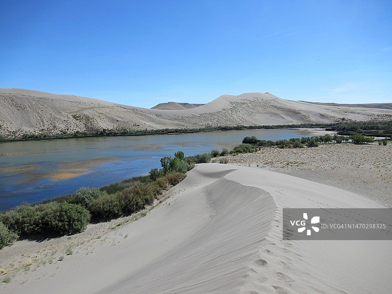 美国布鲁诺沙丘州立公园，晴朗蓝天下沙漠风光图片素材