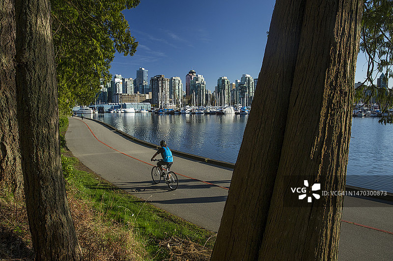 在温哥华市中心斯坦利公园海堤上骑自行车图片素材