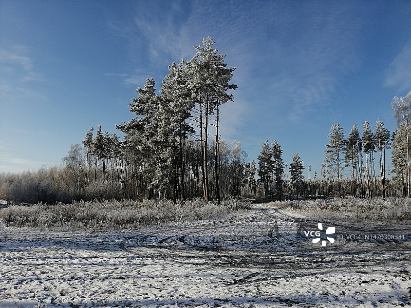 俄罗斯冬季田野树木图片素材