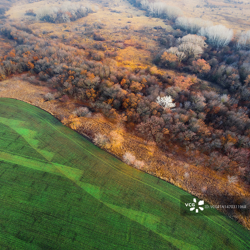 乌克兰波尔塔瓦州无雪冬日的色彩图片素材