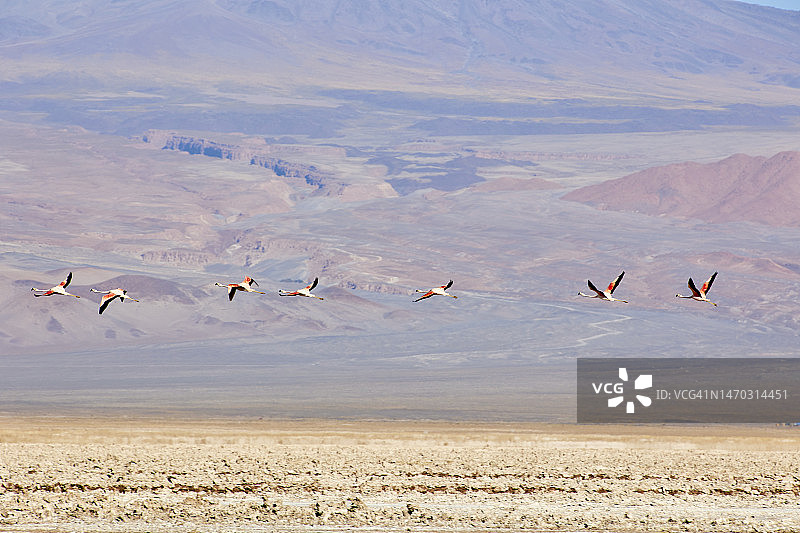 智利安托法加斯塔阿塔卡马沙漠风光图片素材