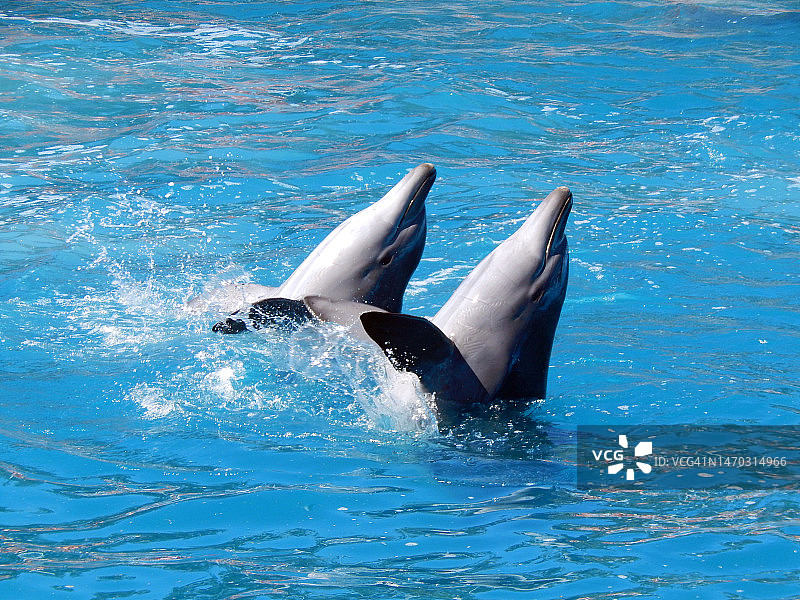 漂浮在海中的瓶子高角度视图图片素材