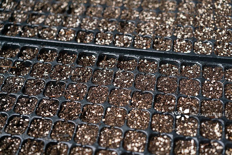 种子萌发容器图片素材